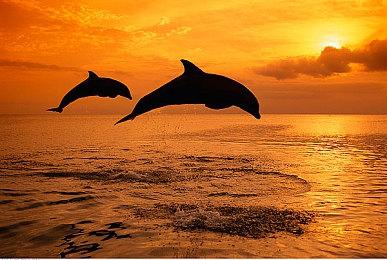 2024年纽约游戏奖提名名单公布 《博德之门3》六项提名领跑全场